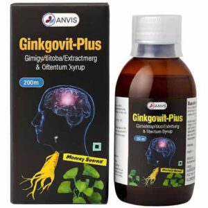 Ginkgovit plus